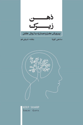 دانلود پی دی اف کتاب ذهن زیرک